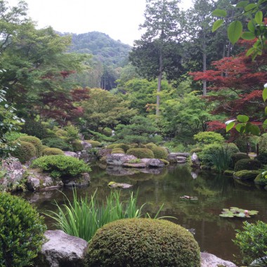 三室戸寺